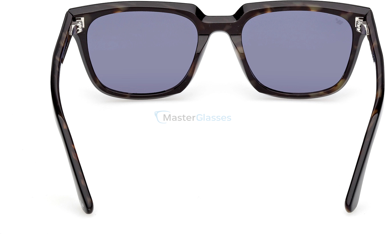   Web Eyewear WE 0391 05V 53