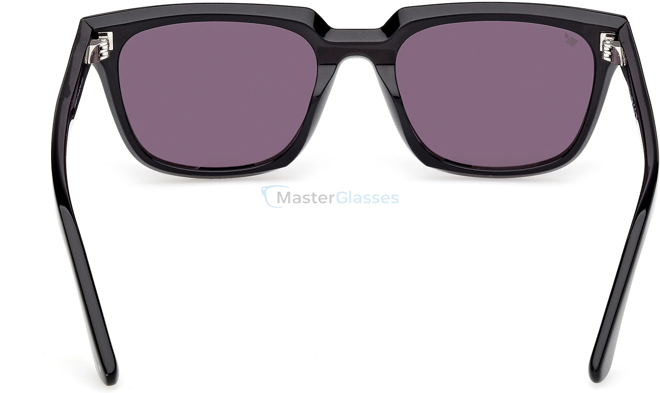  Web Eyewear WE 0391 01A 53