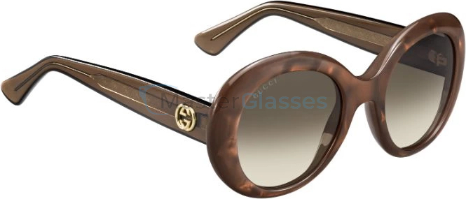 �������������� ���� GUCCI GG 3815/S R3V