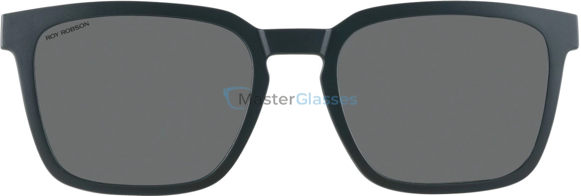 Солнцезащитные очки Roy Robson 60135_clip 101 55/20