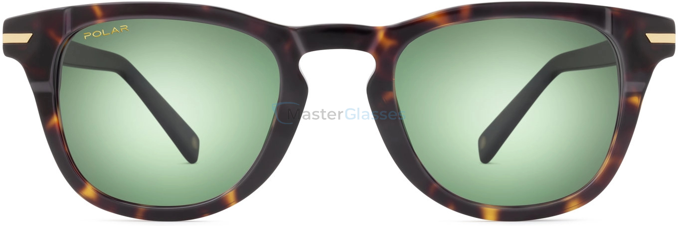   Polar mod Gold Pegaso col. 428