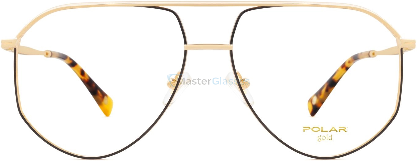    Polar model Gold 309 col. 48