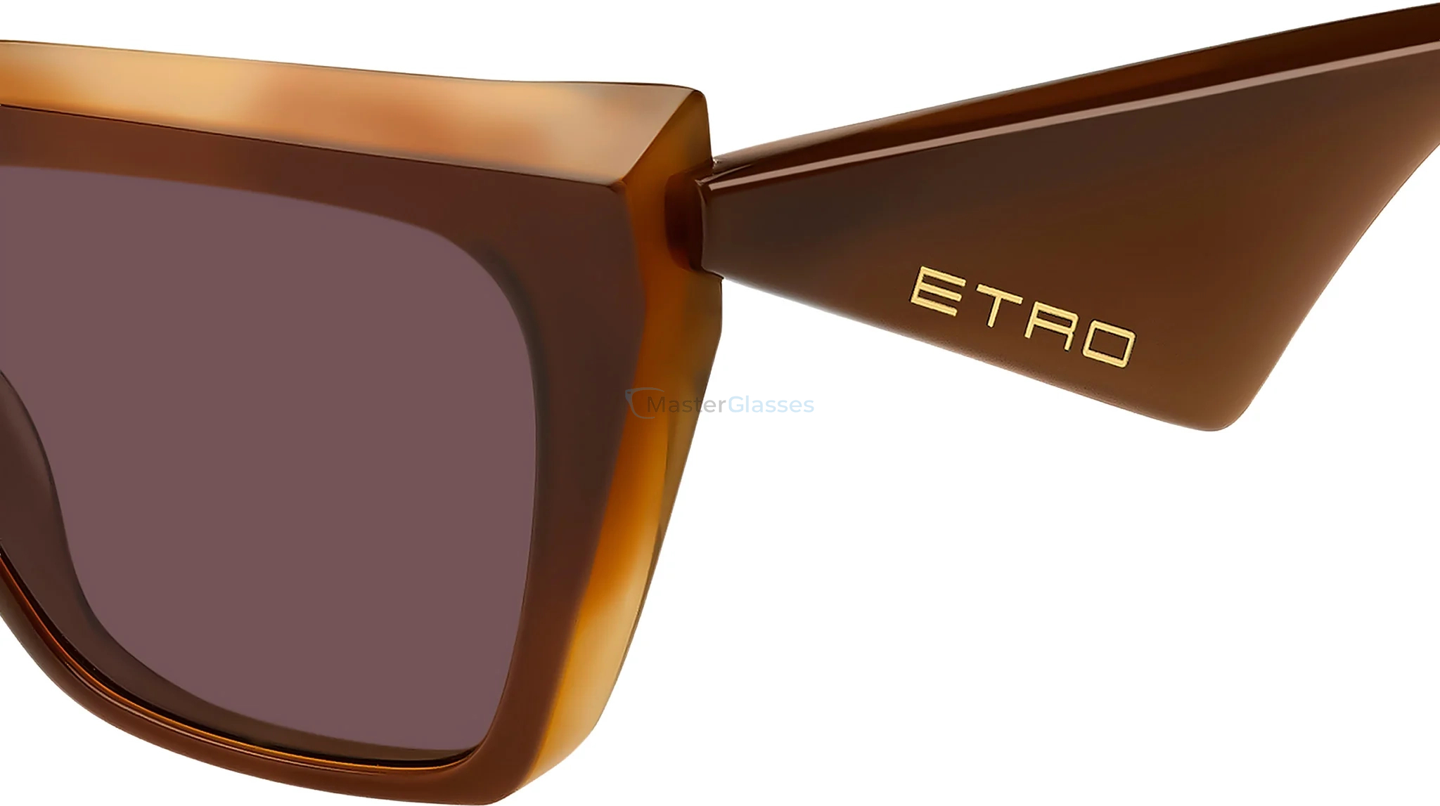   ETRO 0096/G/S WR9 Brown Havana
