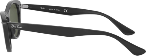   Ray-Ban NINA RB4314N 601/31 Black