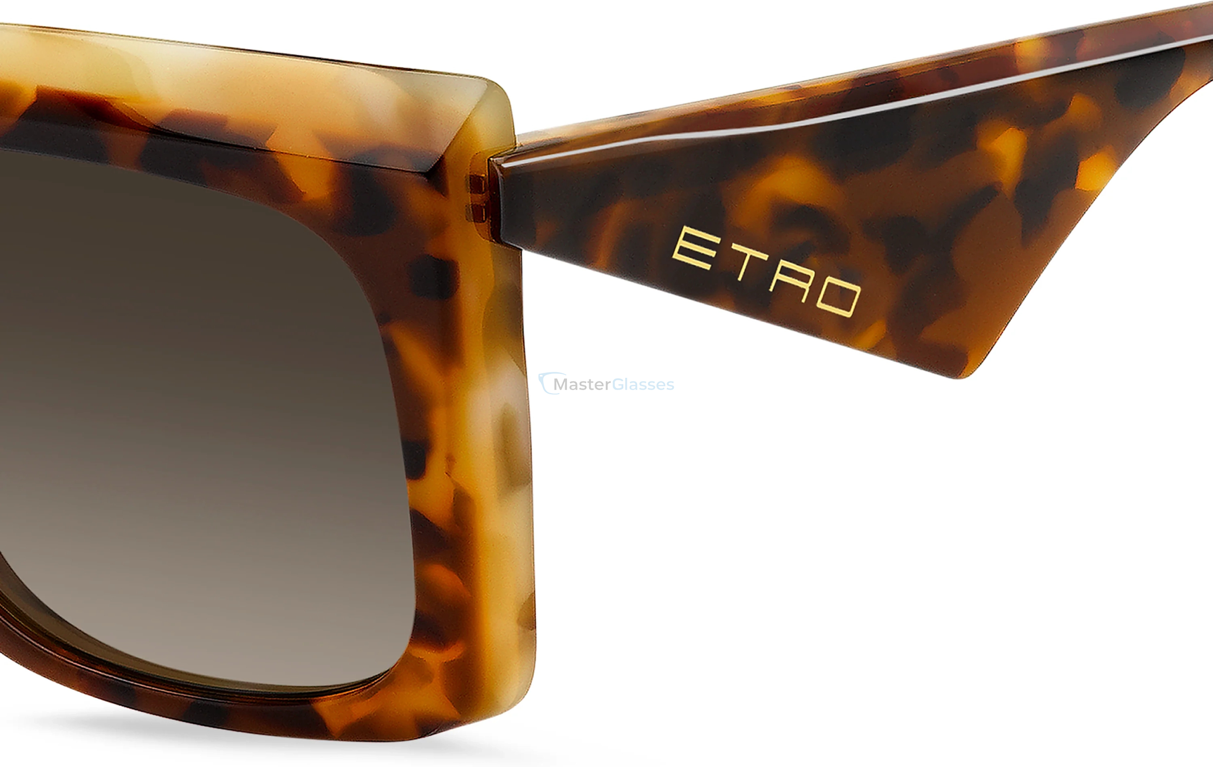   ETRO 0117/S P65 Brown Yellow Havana