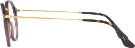 Оправа Ray-Ban Round RX2447V 8032 Opal Brown