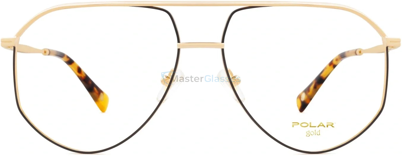    Polar model Gold 309 col. 78