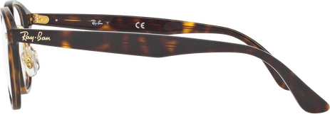 Оправа Ray-Ban RX5355 5674 Top Brown Havana/havana Brown