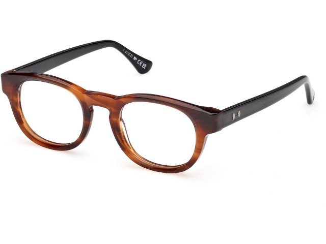 Web Eyewear WE 5465 047 48