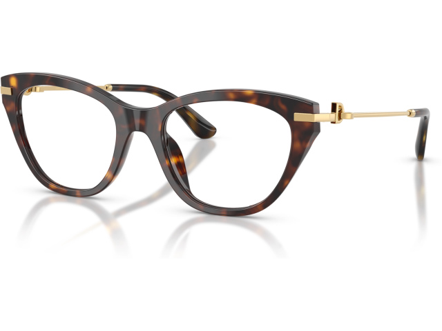 Dolce & Gabbana DG3428 502 Tortoise