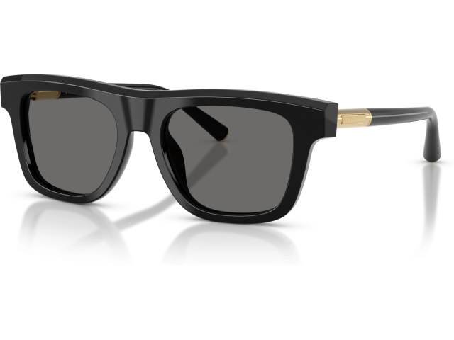 Dolce & Gabbana DG4521 501/1 Black