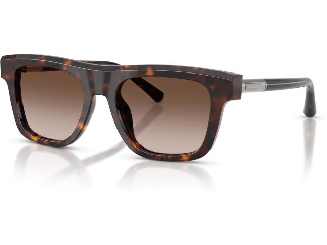 Dolce & Gabbana DG4521 502/13 Tortoise