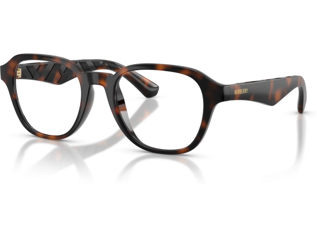 Burberry BE2444U 3002 Brown