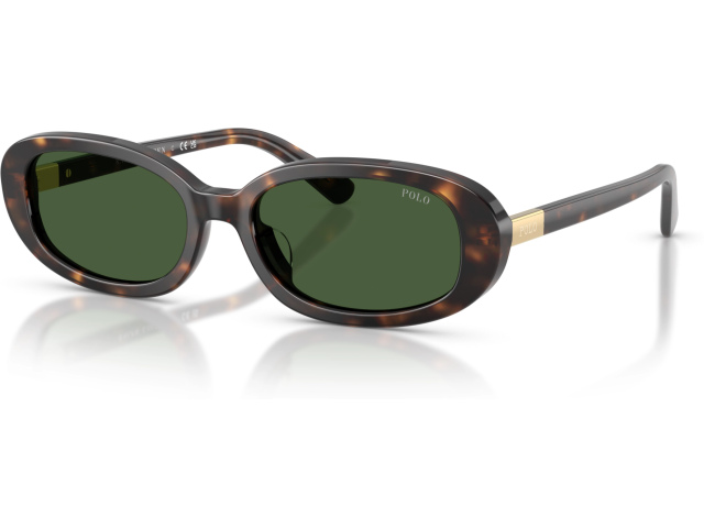 Polo PH4198U 500371 Tortoise