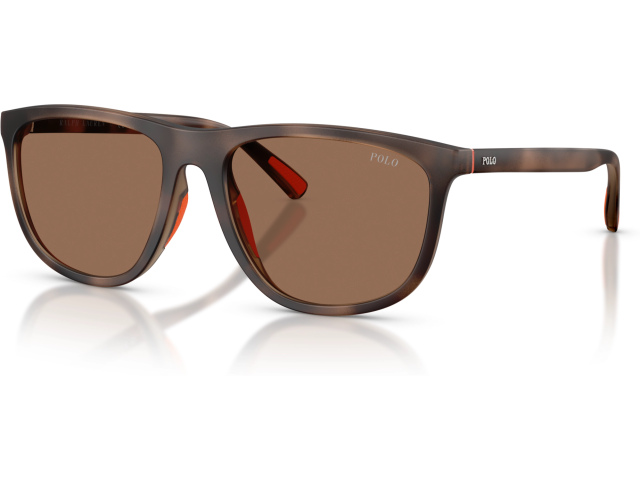 Polo PH4231U 597473 Tortoise