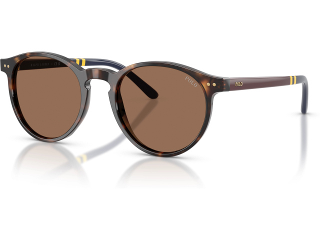 Polo PH4236 500373 Tortoise