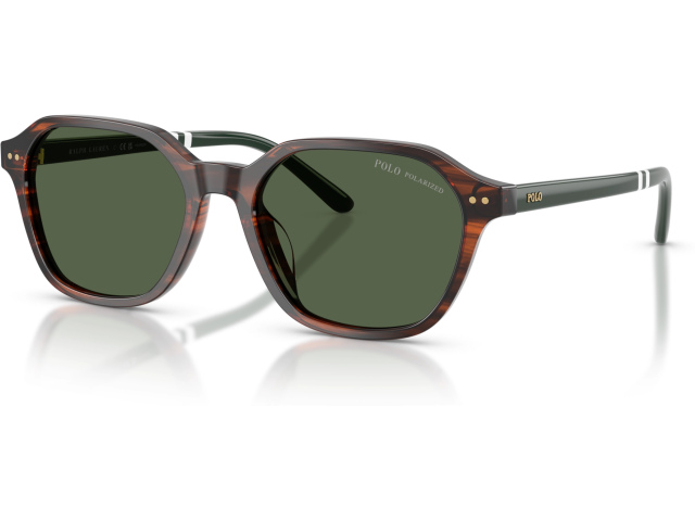 Polo PH4234U 63159A Tortoise