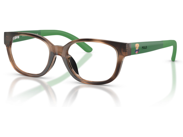 Polo PP8551U 5974 Tortoise