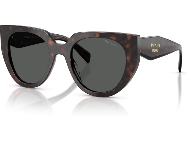 Prada PR 14WS 17N40L Tortoise