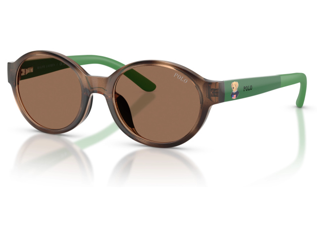 Polo PP9510U 597473 Tortoise