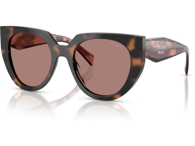 Prada PR 14WS 23A60B Tortoise