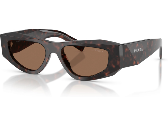 Prada PR B19S 17N06B Tortoise