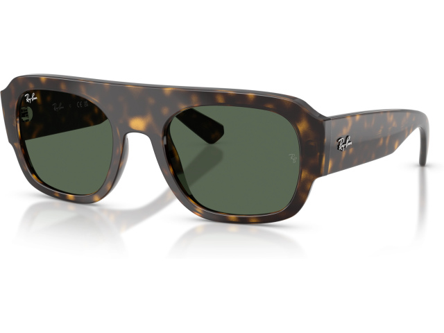 Ray-Ban RB2218 679071 Tortoise