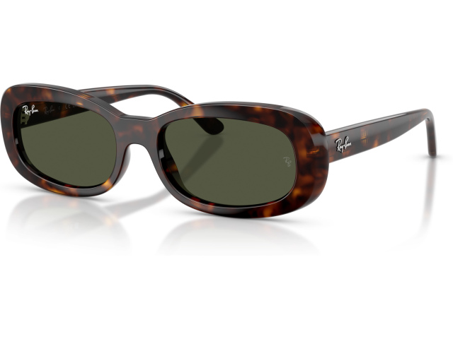 Ray-Ban RB2221 902/31 Tortoise