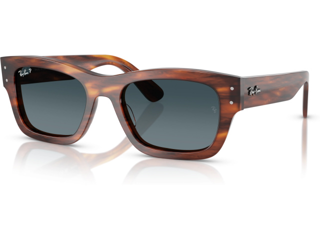 Ray-Ban JOSEPH RB7683S 954/S3 Brown