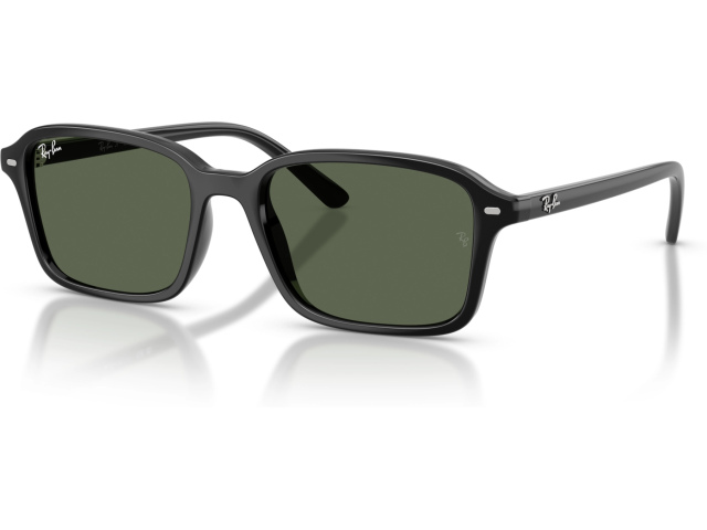 Ray-Ban RJ9131S 100/71 Black