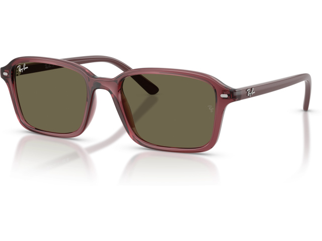 Ray-Ban RJ9131S 7197/3 Violet