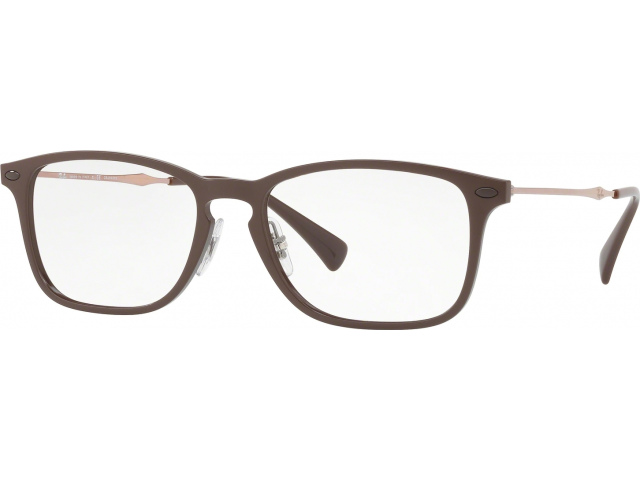  Ray-Ban RX8953 8028 Brown Graphene