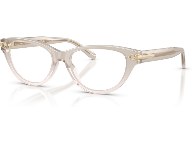 Ralph Lauren RL6257U 6112 Grey