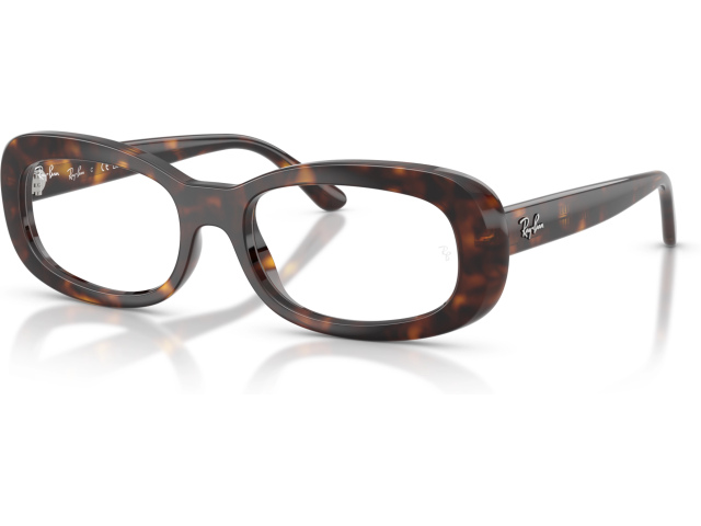 Ray-Ban RX2221V 2012 Tortoise