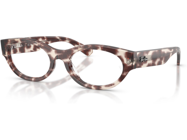 Ray-Ban RX5447 8461 Tortoise