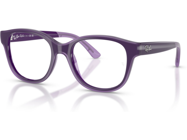 Ray-Ban RY1950 7206 Violet
