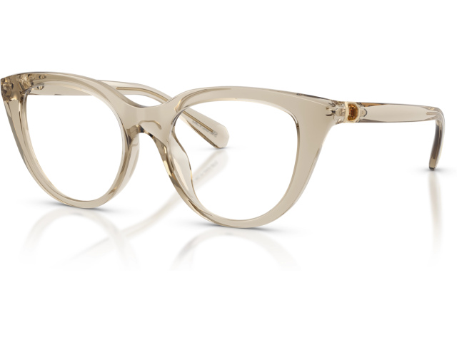 Swarovski SK2052 3003 Brown