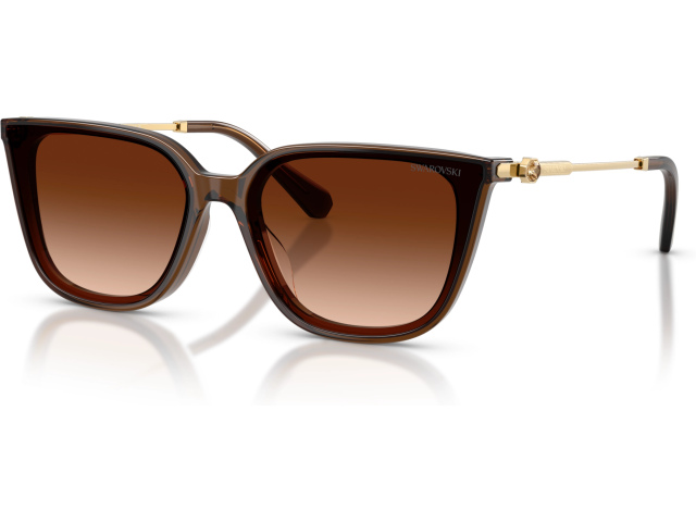 Swarovski SK6054D 108474 Brown