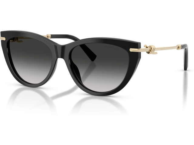 Tiffany TF4253 80013C Black