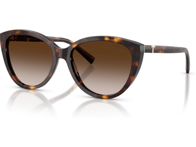 Tiffany TF4251 80153B Tortoise