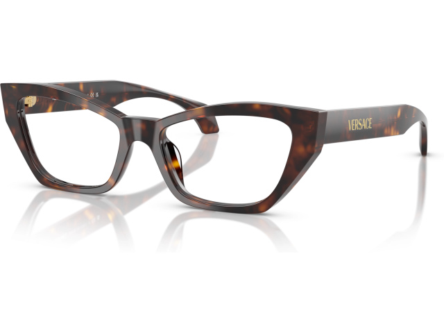 Versace VE3373U 108 Brown