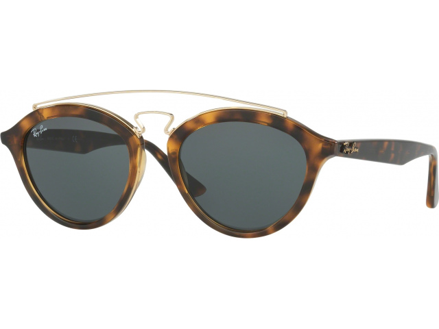 Солнцезащитные очки Ray-Ban New Gatsby Ii RB4257 710/71 Havana