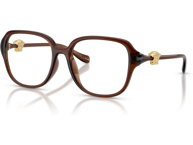 Versace VE3386D 5534 Brown