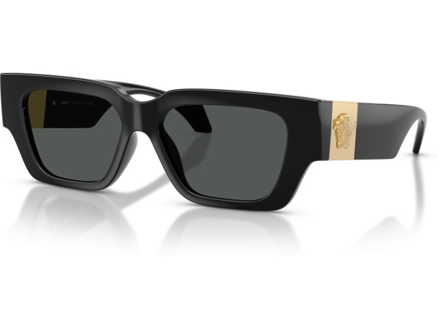 Versace VE4497U GB1/87 Black