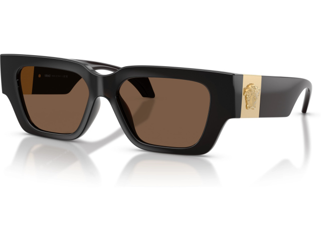 Versace VE4497U 554373 Brown