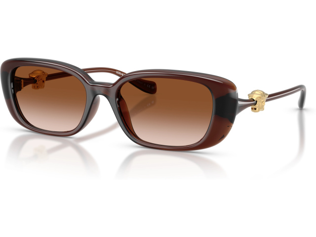 Versace VE4504D 533213 Brown