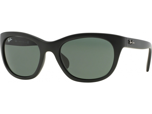 Солнцезащитные очки Ray-Ban RB4216 601S71 Matte Black