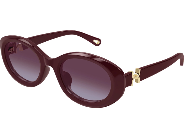 Chloe CH0323SK-004 54 ���� ��������������