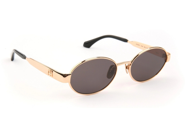 Ana Hickmann AH3341 04A