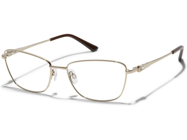 Revlon 2010 01 55/17